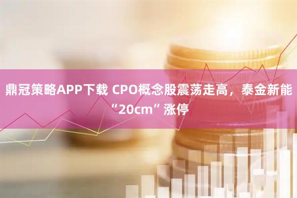 鼎冠策略APP下载 CPO概念股震荡走高，泰金新能“20cm”涨停