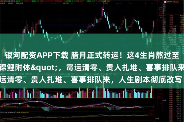 银河配资APP下载 腊月正式转运！这4生肖熬过至暗时刻，年前"锦鲤附体"，霉运清零、贵人扎堆、喜事排队来，人生剧本彻底改写！