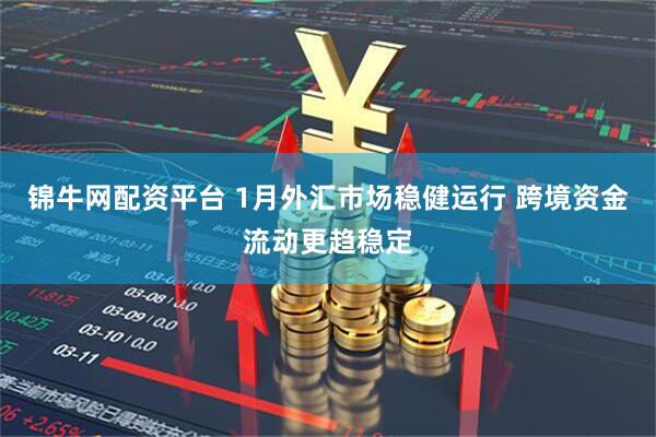 锦牛网配资平台 1月外汇市场稳健运行 跨境资金流动更趋稳定